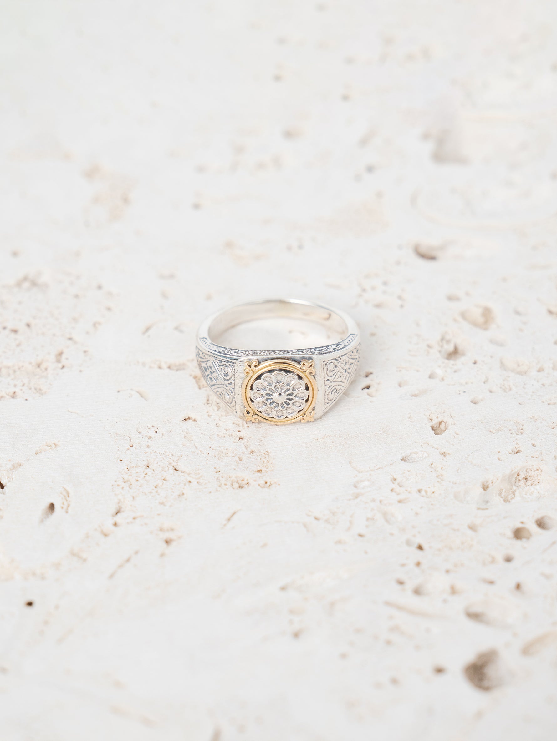 GEROCHRISTO | Ring in 18K Gold and sterling silver 20520