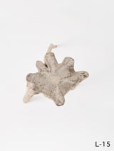 SEMPRE LIFE | テーブルレッグ5