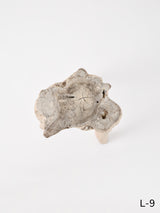 SEMPRE LIFE | テーブルレッグ3