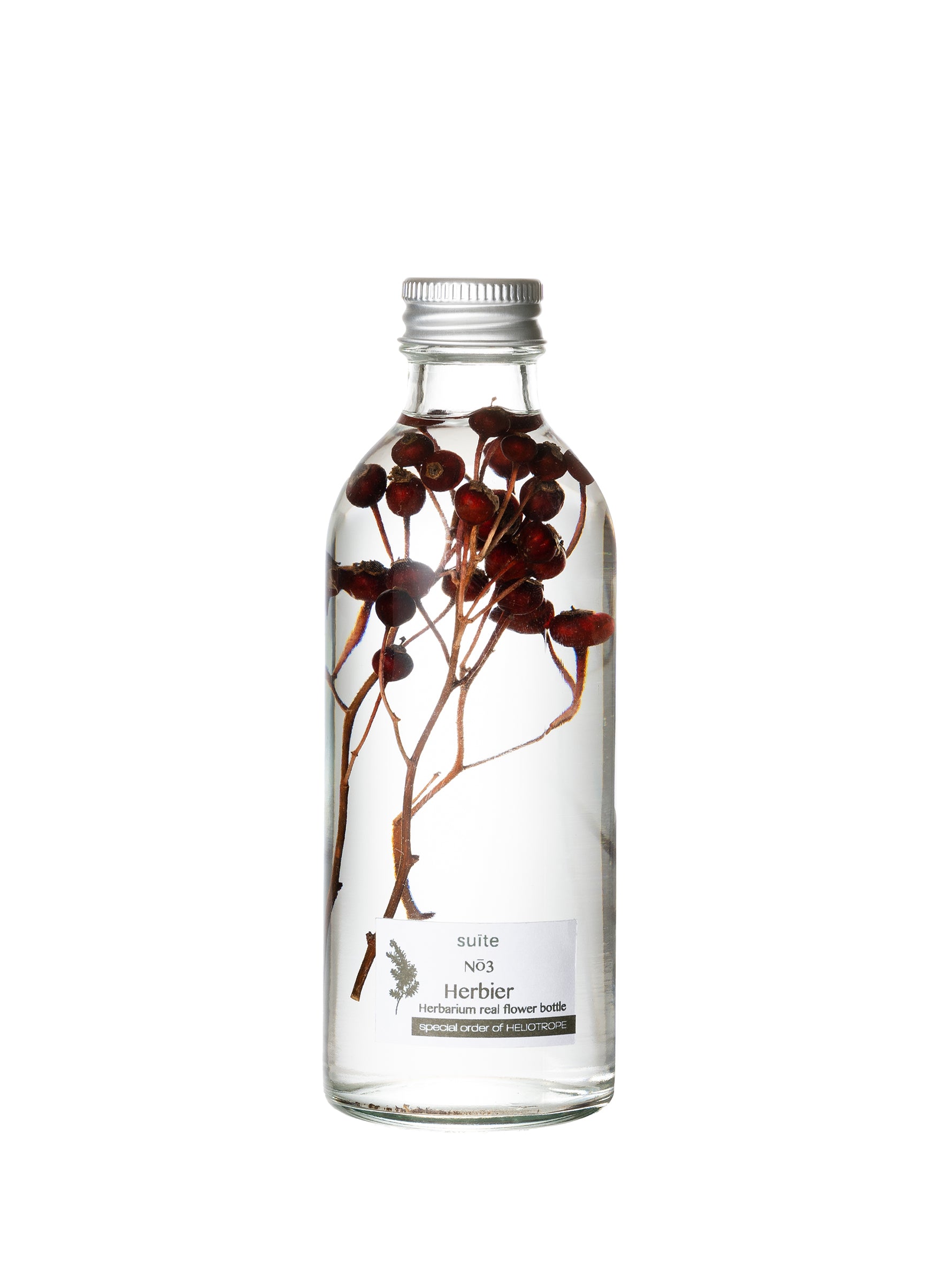 suite | ハーバリウム ボタニカル 野バラの実 herbier NO3
