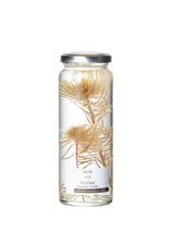 suite | ハーバリウム フィリカ herbier NO6