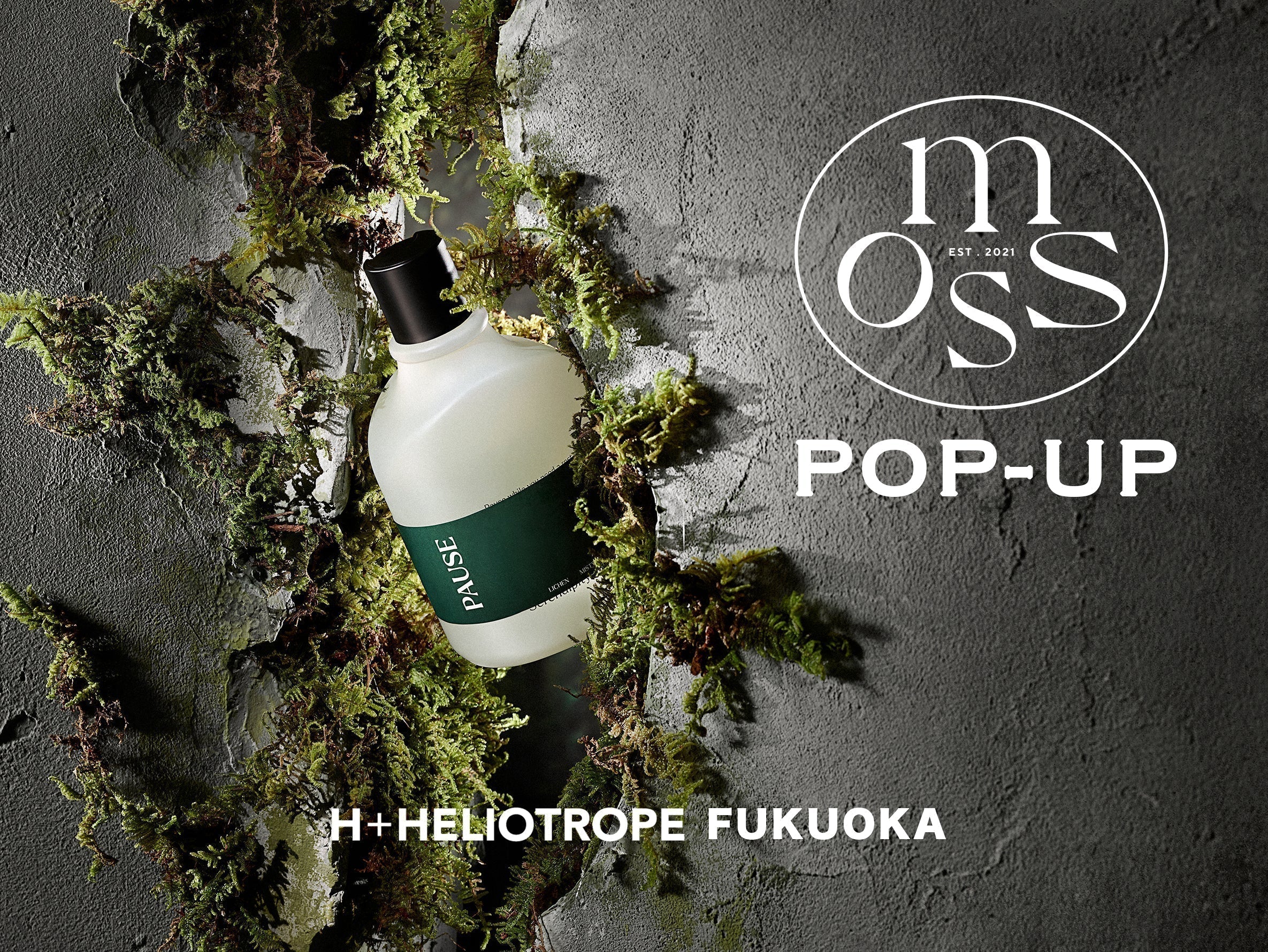 【 moss origin | モスオリジン 】 POP-UP SHOP