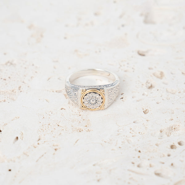 GEROCHRISTO | Ring in 18K Gold and sterling silver 20520 – H+