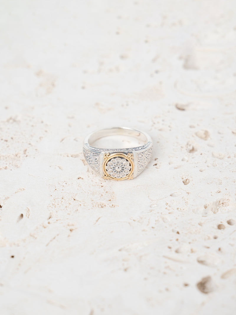GEROCHRISTO | Ring in 18K Gold and sterling silver 20520