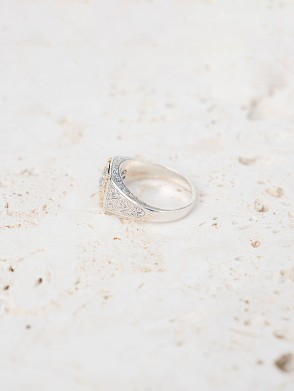 GEROCHRISTO | Ring in 18K Gold and sterling silver 20520