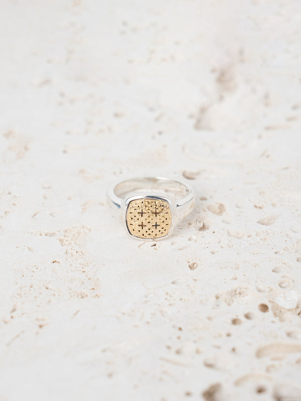 GEROCHRISTO | Ring in 18K Gold and sterling silver 925 20491