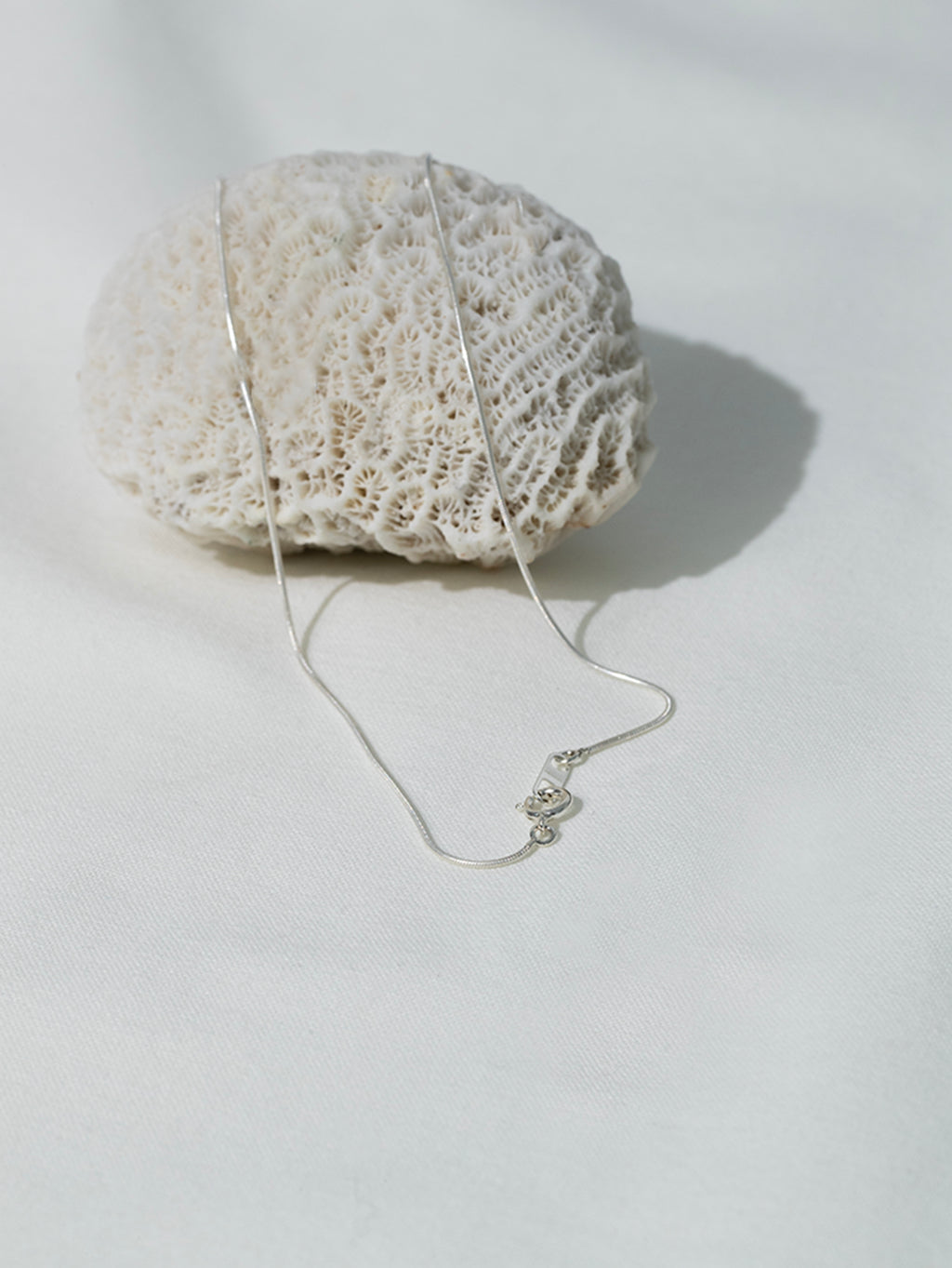 長ネギ chikyubatake_fukanegi