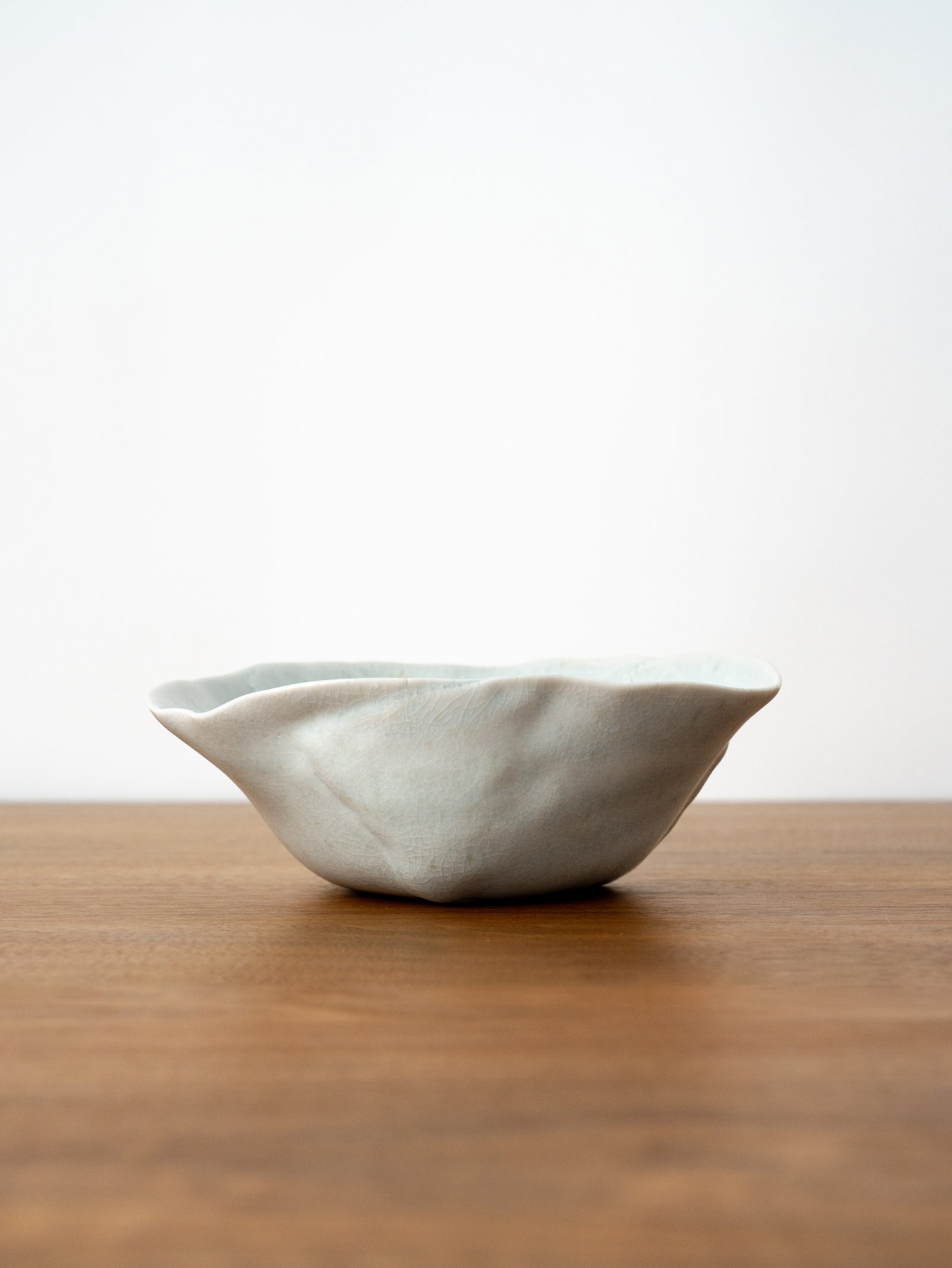 前田美絵 | 花鉢M – H+HELIOTROPE 前田美絵 | 花鉢M – H+HELIOTROPE