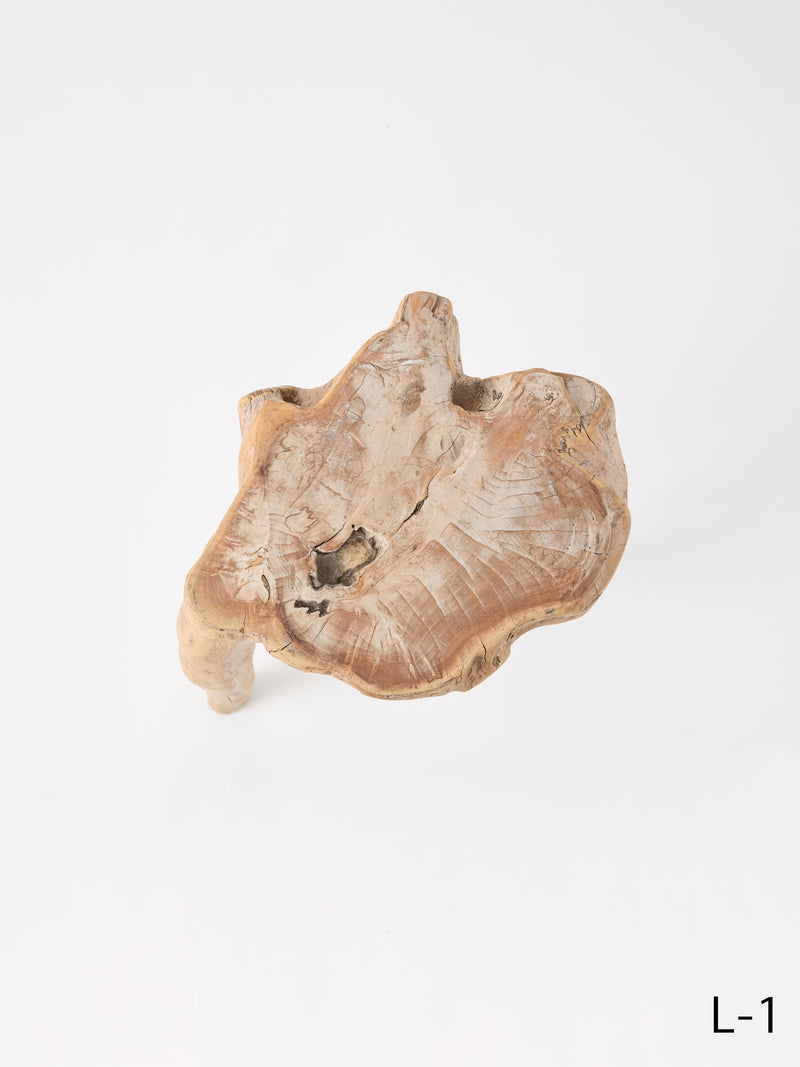 SEMPRE LIFE テーブルレッグ1