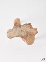 SEMPRE LIFE テーブルレッグ1