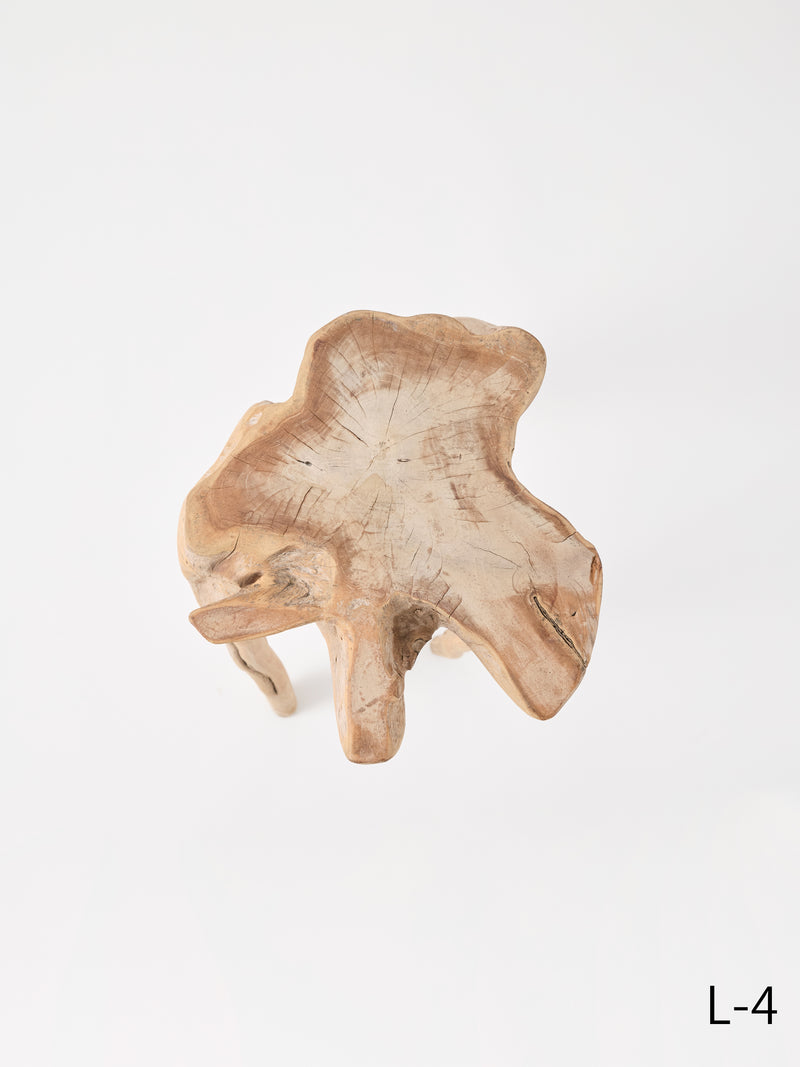 SEMPRE LIFE テーブルレッグ1