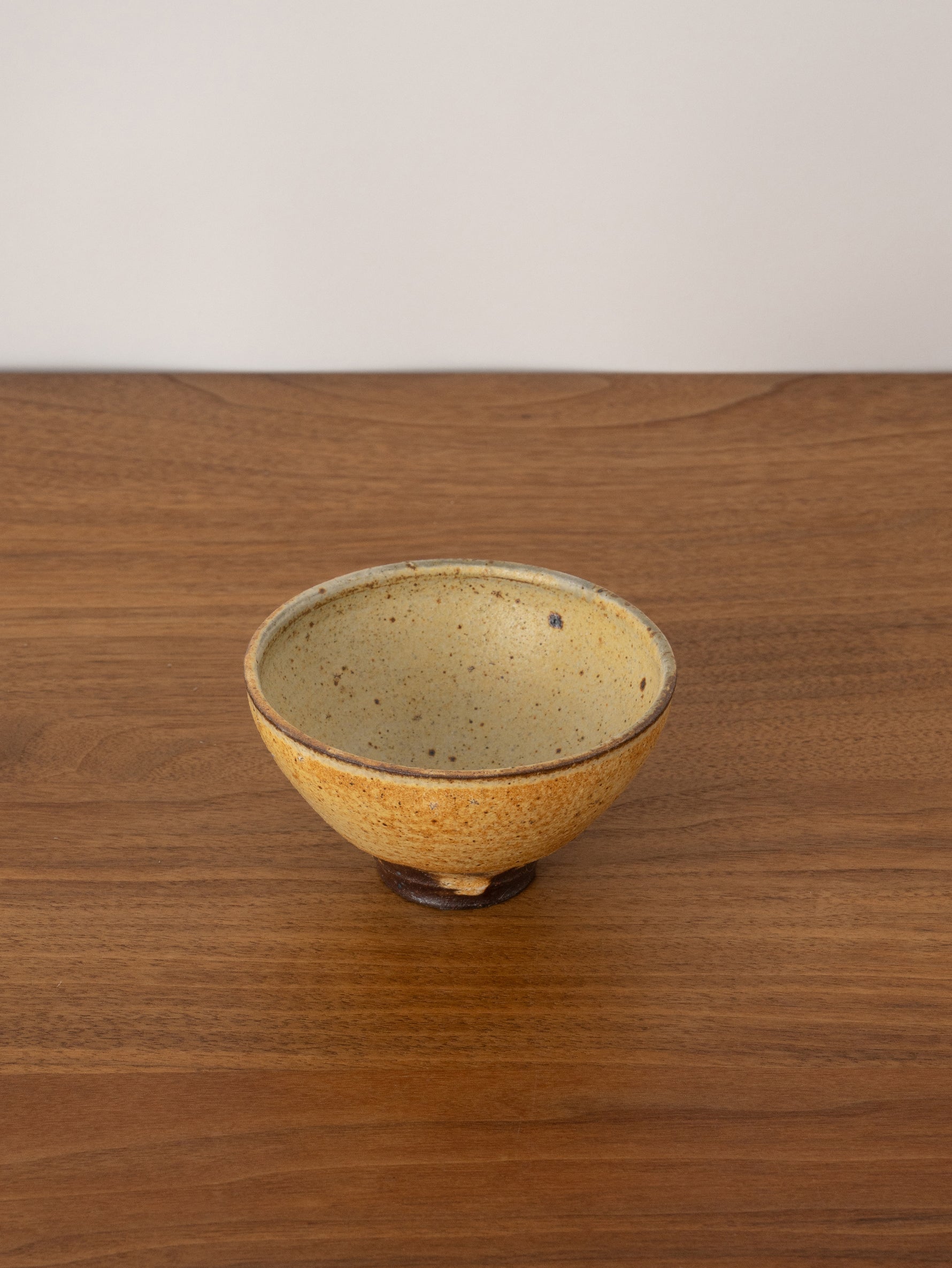 ♧素敵な桜おもてなし会席料理に⬛有田焼・三峰窯の春桜柄長皿