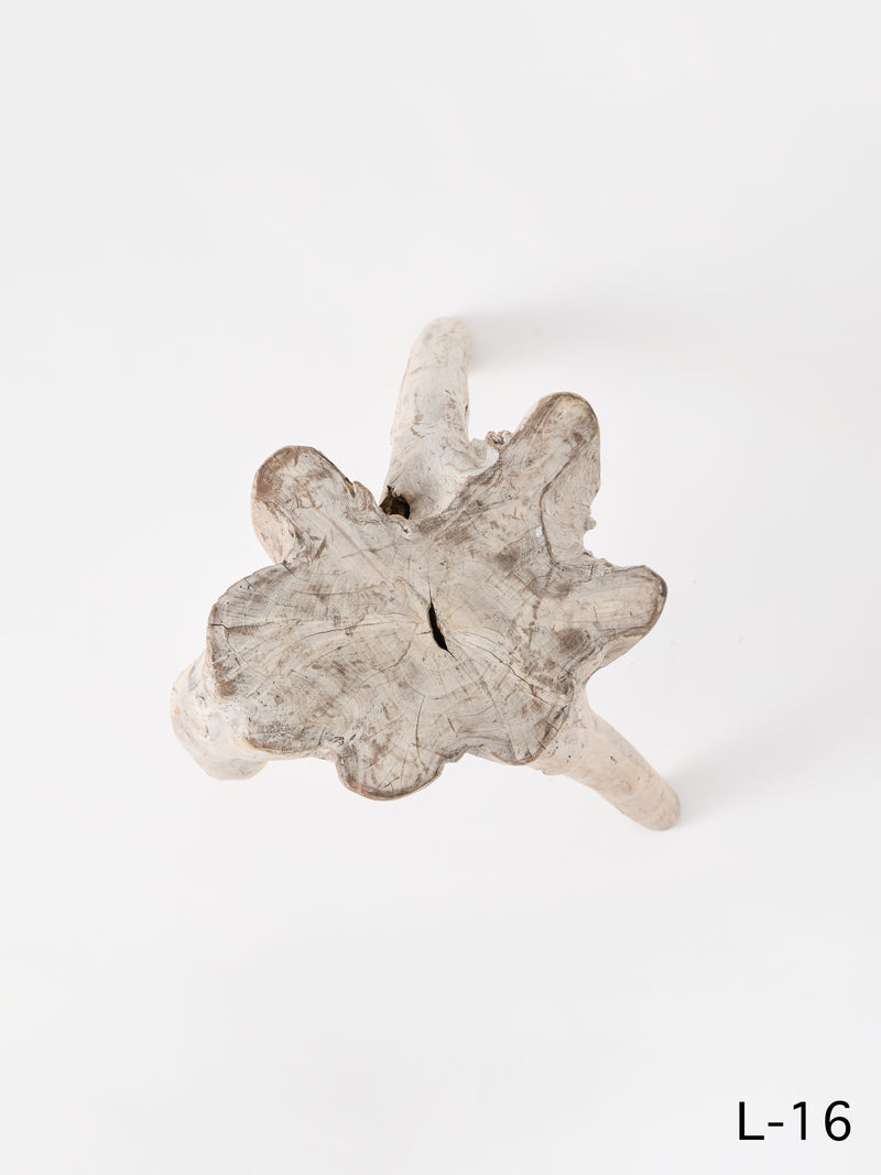 SEMPRE LIFE | テーブルレッグ5