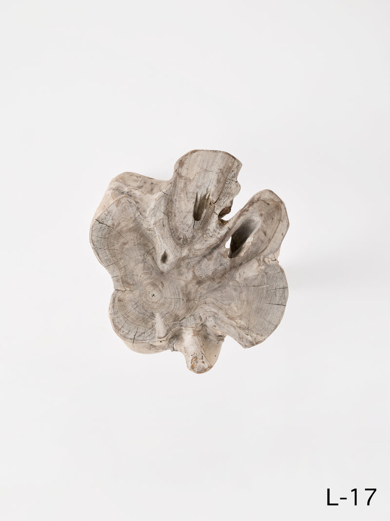 SEMPRE LIFE | テーブルレッグ5