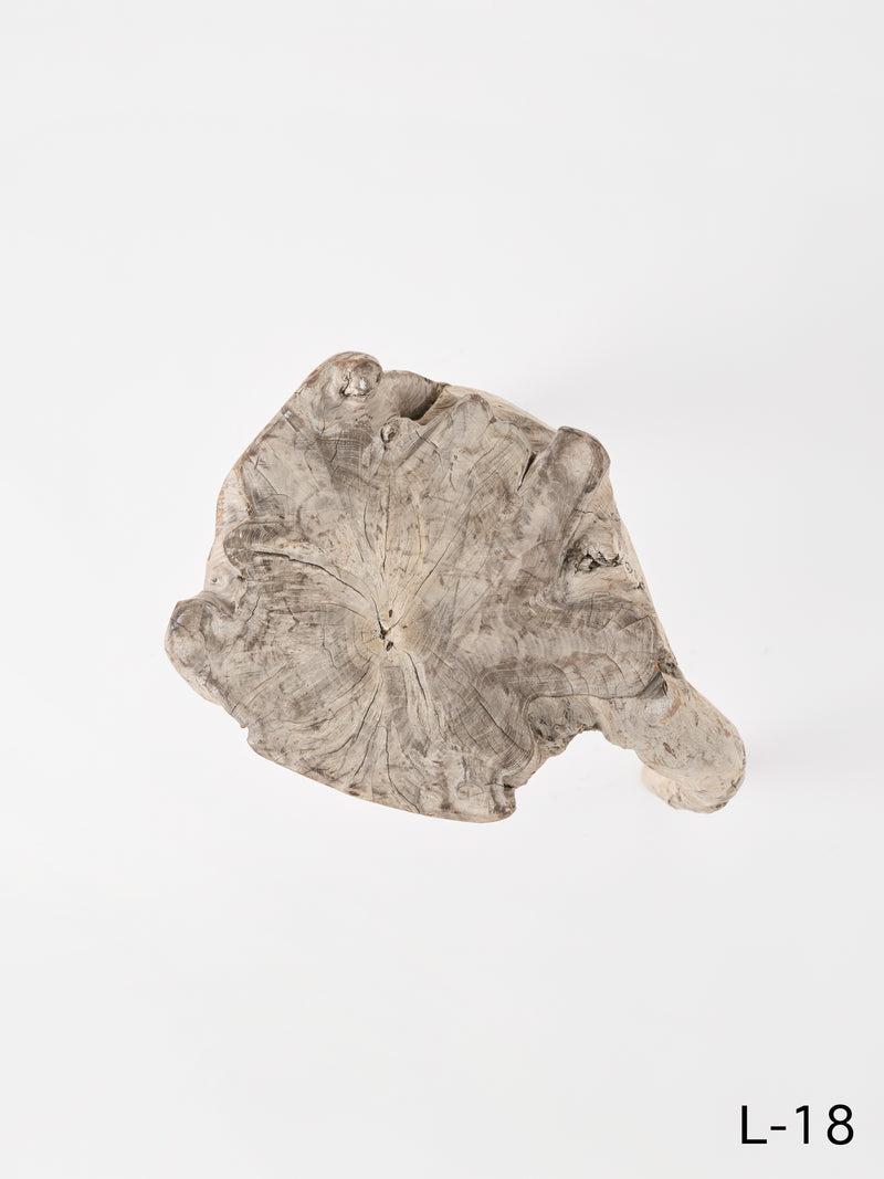 SEMPRE LIFE | テーブルレッグ5