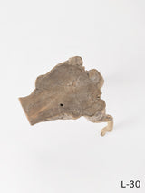 SEMPRE LIFE | テーブルレッグ8