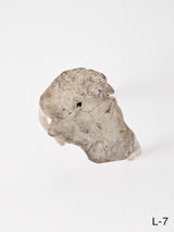 SEMPRE LIFE | テーブルレッグ3